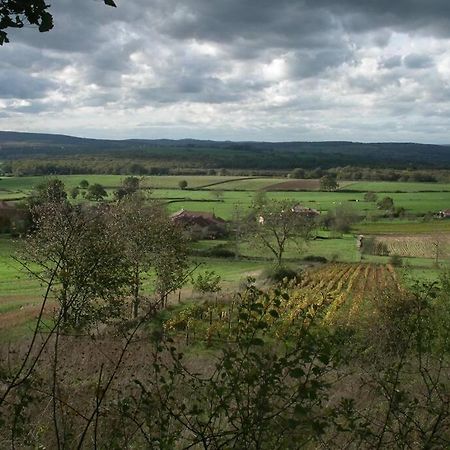 Le Coeur Du Lys Villa Chissey-les-Macon Buitenkant foto