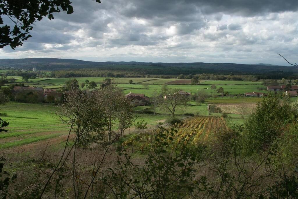 Le Coeur Du Lys Villa Chissey-les-Macon Buitenkant foto